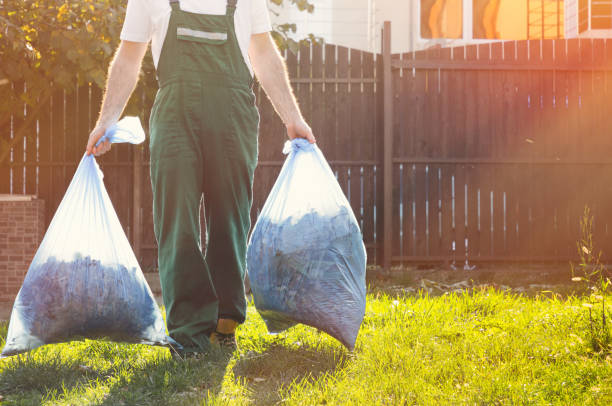 Basement Cleanout Services in Town Line, NY